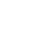 PDF icon